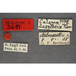Entomology type specimen labels.