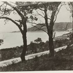 Photograph - Coastal Landscape, Lorne District, Victoria, circa 1920s