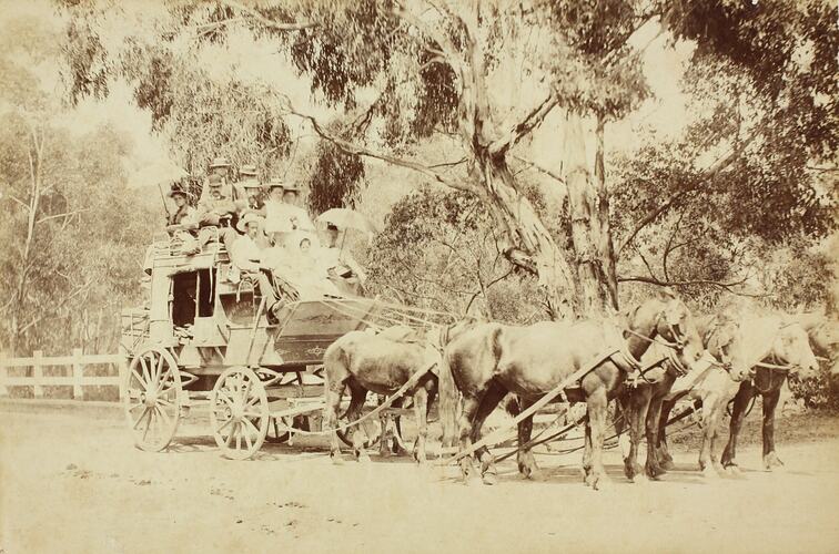Photograph - Horse Drawn Coach