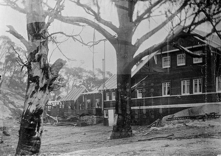 Side of a chalet with an A-line roof. Large gum trees in foreground.