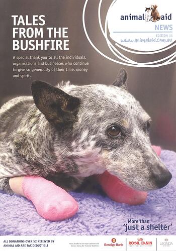 Booklet with white text and black and white dog with both front paws wrapped in pink bandages.