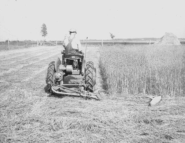 Farmall A Tractor & No.16A Mower