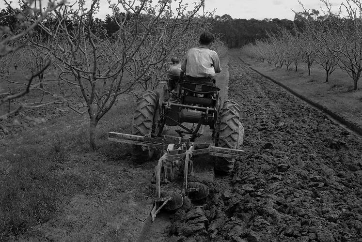 Farmall A Tractor & Plough, Doncaster