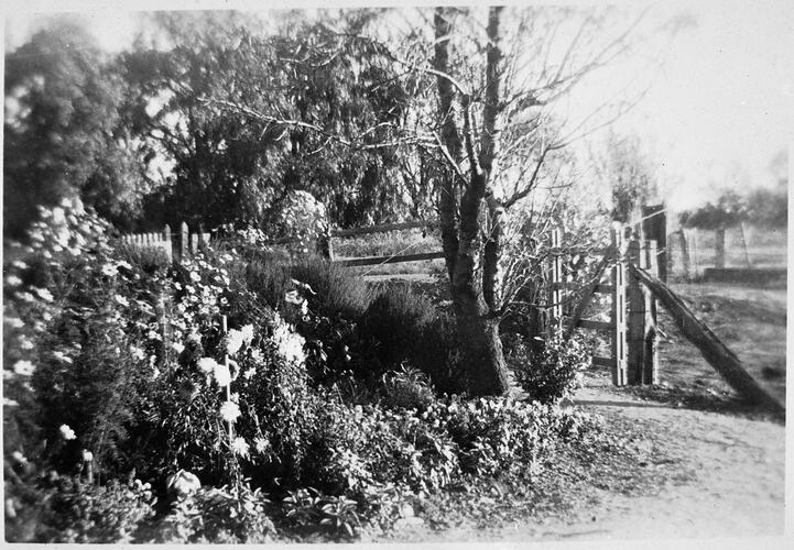 View of gardens and gates outside house.