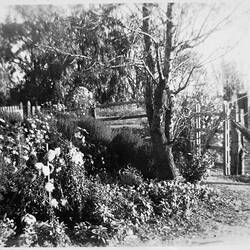 Negative - Channel Outside 'Othery' House, Merrigum, Victoria, circa 1910s