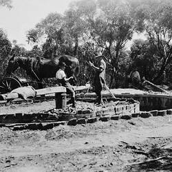 Negative - Horse Powered Puddling Machine, Kingower District, Victoria, circa 1930
