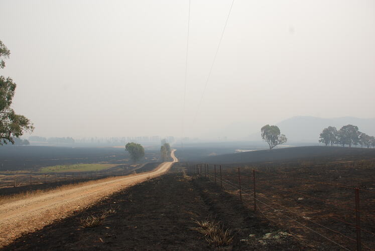 Road passing through bushfire damaged landscape.