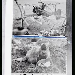 Glass Negative - Copy, Gipsy Moth VH-ULD & 'Southward Ho! With Mawson' BANZARE Voyage 1, Antarctica, 1929-1930