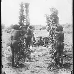 Glass plate. Arrernte. Alice Springs, Central Australia, Northern Territory, Australia. 1896