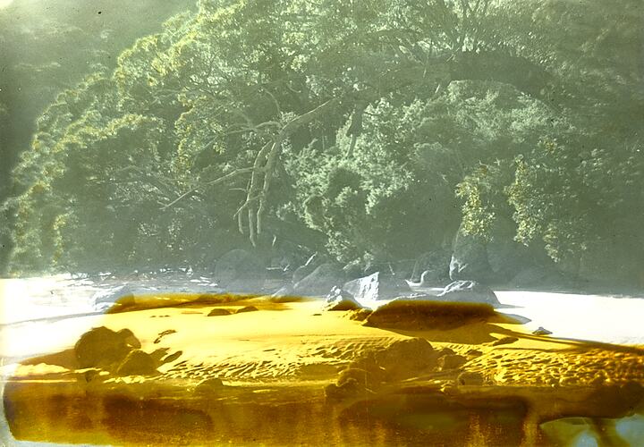 Lantern Slide - Sealers Cove, Wilsons Promontory, Victoria, Date Unknown. [BA 1876]