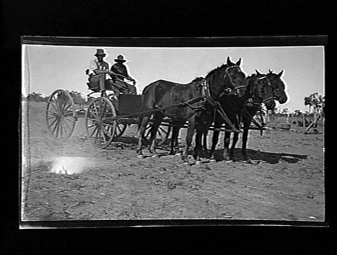 Negative - Horse Drawn Carriage