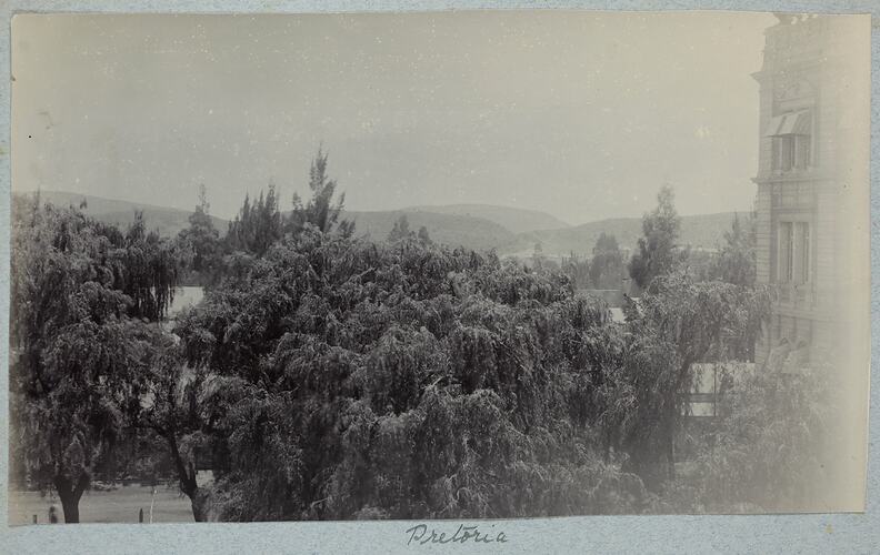 Trees tops and buildings on right.