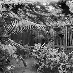 Negative - Kodak Australasia Pty Ltd, Back Garden Fence, Kodak Branch, Townsville, QLD, 1930s