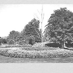 Photograph - H.V. McKay Memorial Gardens, Sunshine, Victoria, Apr 1942