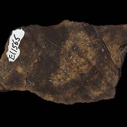 Macy Meteorite. [E 11565]