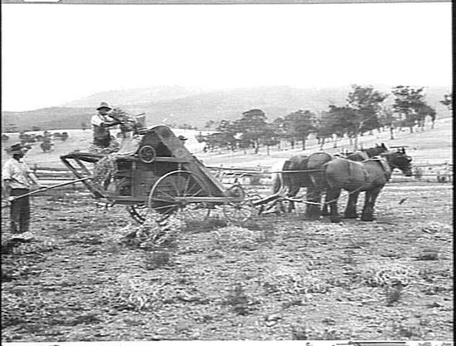 Photograph - H. V. McKay factory and/or equipment