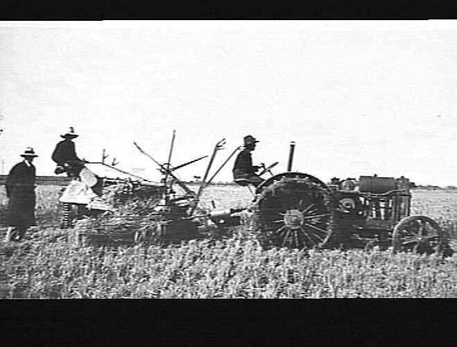 "RICE HARVESTING WITH 8 FT POWER TAKE OFF BINDER (AVERAGE 4 ACRES PER DAY) 1927-28."
