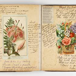 Open scrapbook showing 2 pages of inscriptions and illustrations, mostly floral motifs.