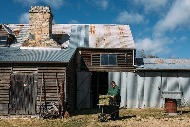 Woman with wheelbarrow in front of barn.