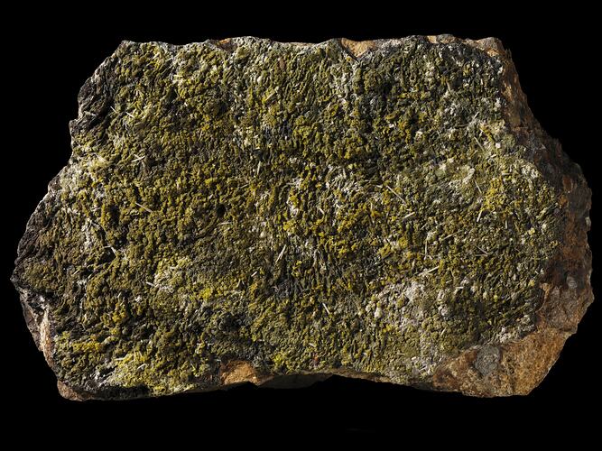 Pyromorphite. [M 53451]