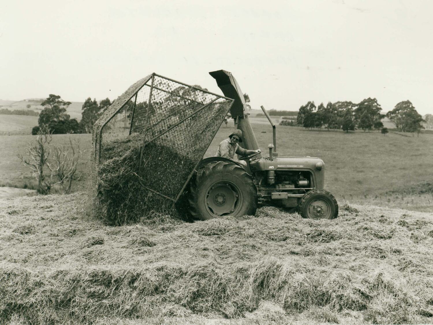 Photograph Massey Ferguson, Man Driving a MF35 Tractor Fitted with a