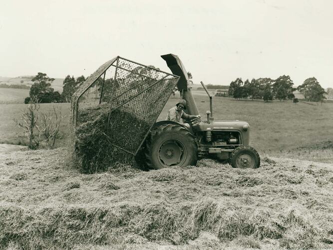 Man driving a tractor fited with a forage harvester. Storage cage being emptied.