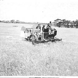 Photograph - H.V. McKay Pty Ltd, Farm Equipment Manufacture & Field Trials, Arthurton, South Australia, Dec 1929