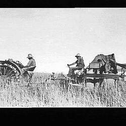 Photograph - H.V. McKay Massey Harris, Sunlight Header Harvester Drawn by a Ronaldson Tippett Tractor, Orange, New South Wales, Jan 1933