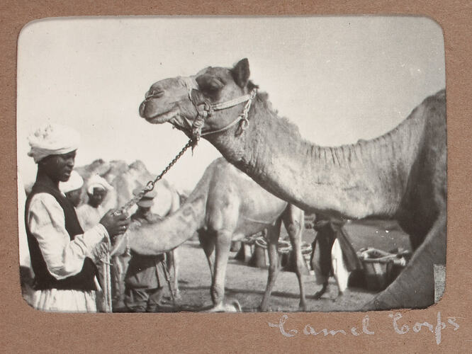 Boy holding camel on chain.