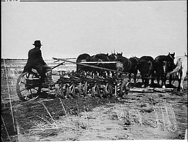 TAKEN MAY 4TH, 1922 AT MR. REDPATH'S, NYAH WEST (ALSO TWO OTHER VIEWS
