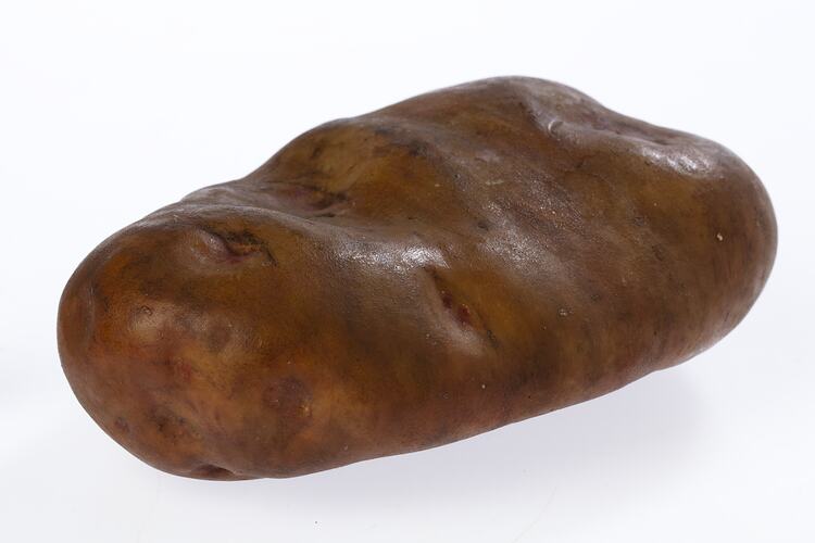 Irregularly shaped light brown model of a potato.