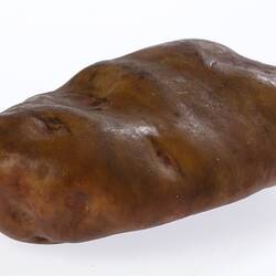 Irregularly shaped light brown model of a potato.
