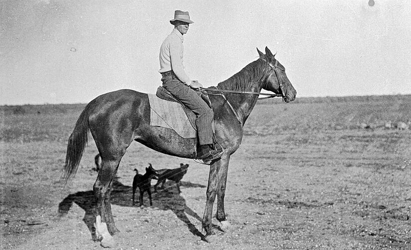 Negative - Boundary Rider, 'Portland Downs' Station, Isisford ...