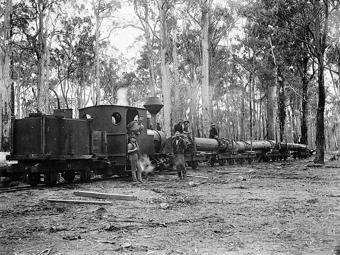 Workers on a timber train, Mullungdung, 1911.