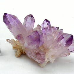 Pink-purple crystal specimen beside scale bar.