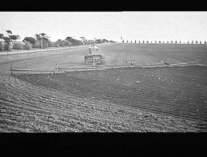20 SECTION SUNJUMP HARROWS & CATERPILLAR TRACTOR. HERB SCHILLING, MAITLAND, S.A. MAY 1941
