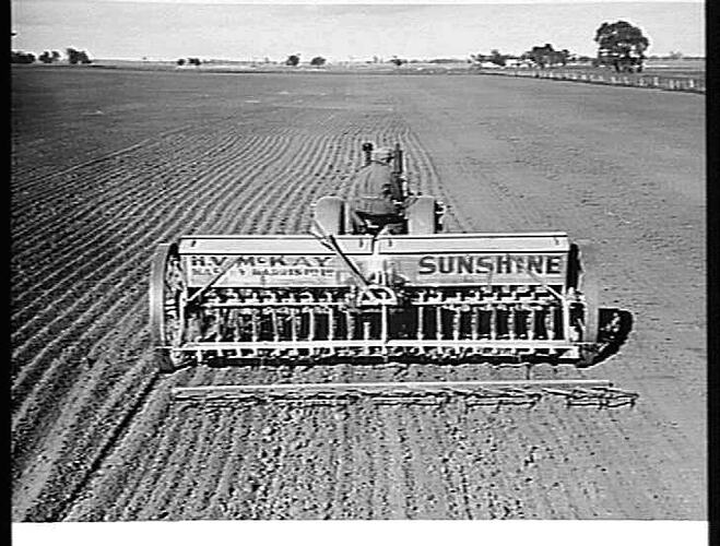 SOWING WHEAT ON MR. G. MCMURTRIE'S FARM AT LUBECK, VIC., USING A 20-ROW `SUNHOE' DRILL WITH `SUNTRAIL' STUMP-JUMP SMOOTHING HARROWS BEHIND, DRAWN BY SUNSHINE MASSEY HARRIS TRACTOR: JUNE 1946