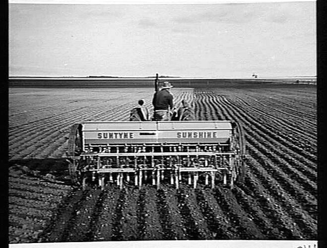 AFTER HEAVY RAIN. MR. M. MCKEW, GOOROE, VIA ST. ARNAUD, VIC. MAKES LIGHT WORK OF THE SOWING (400 ACRES) WITH HIS NEW, 500-SERIES `SUNTYNE' AND 744 DIESEL TRACTOR: JUNE 1952
