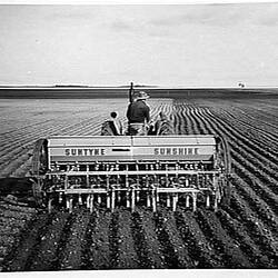 Photograph - H.V. McKay Massey Harris, Farm Equipment Manufacture & Field Trials, Gooroe Via St Arnaud, Victoria, 1952
