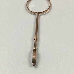 Gold post featuring a circular element at one end and a smaller pincer-style grip at the other.