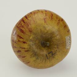 Wax apple model. Red yellow with red streaks.