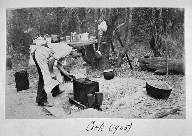 Photograph - 'Cook', by A.J. Campbell, Lower Ferntree Gully, Victoria, 1905