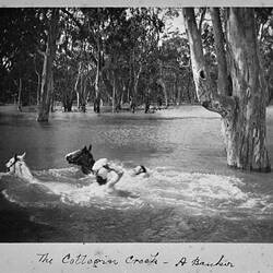 Photograph - by A.J. Campbell, Collegin Creek, Victoria, circa 1900
