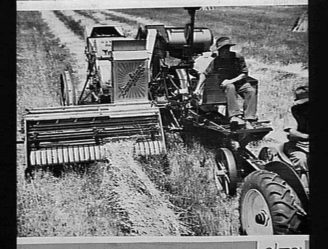 Photograph - H. V. McKay factory and/or equipment