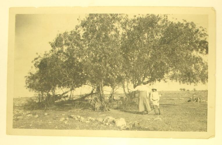Woman and boy standing under tree in rocky field.