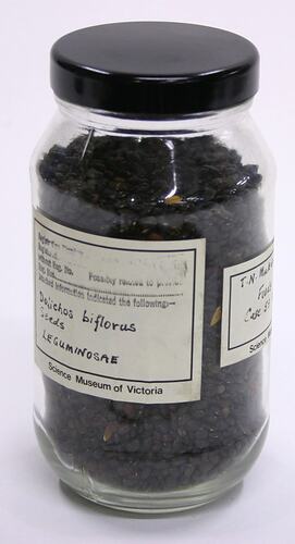 Dolichos Biflorus (Leguminosae) Seeds