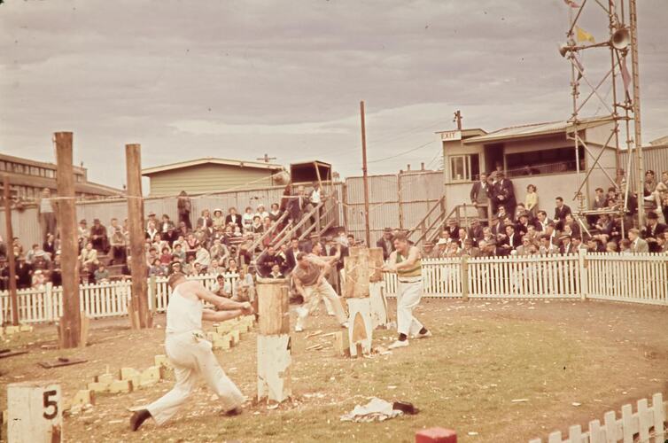 Digital Photograph - Wood Chopping Competition, Royal Melbourne Show, Ascot Vale, 1956