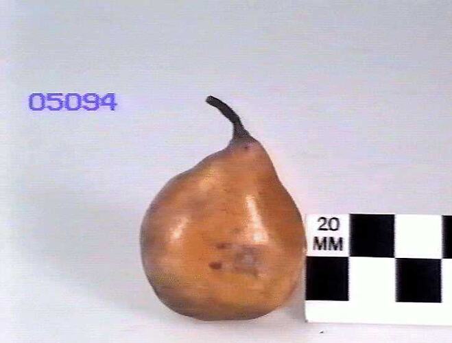 Pear Model, Saint Michel Archange
