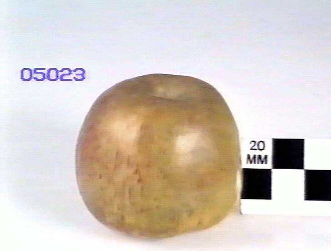 Apple Model - Cellin, Ballarat, Victoria, 1875