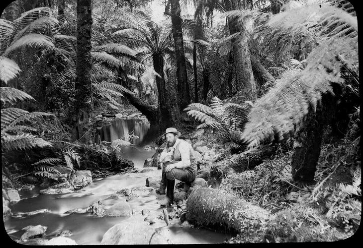 Lantern Slide - A.J. Campbell, Sassafras Creek, Victoria, 1894. [BA 1933]